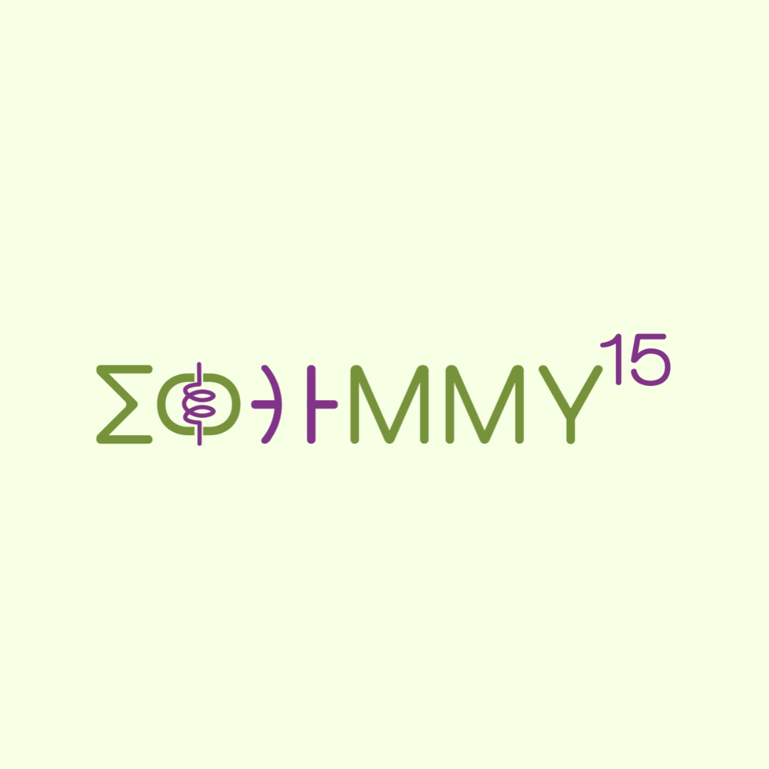 ΣΦΗΜΜΥ 15